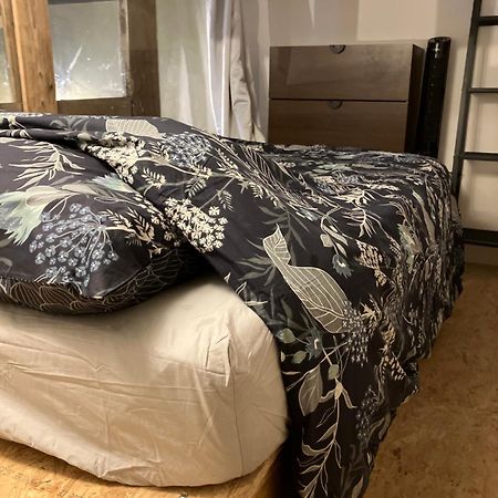 דיז'ון Appartements Atypiques Centre Historique מראה חיצוני תמונה